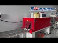 السيطرة البلاستيكية